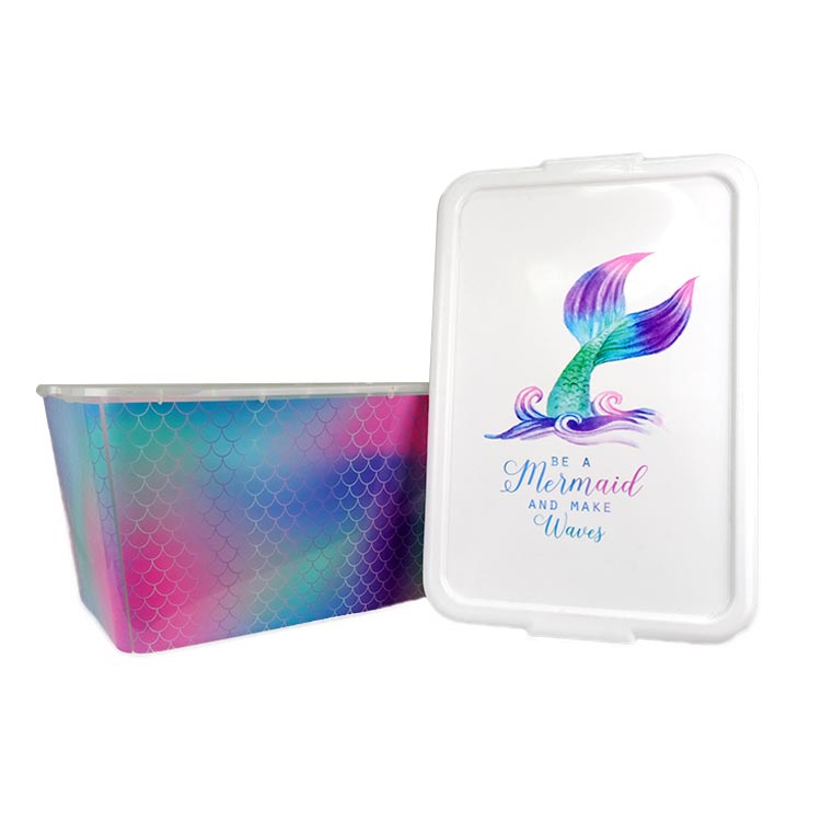 Aufbewahrungsorganisator, Spritzguss-In-Mold-Etikett